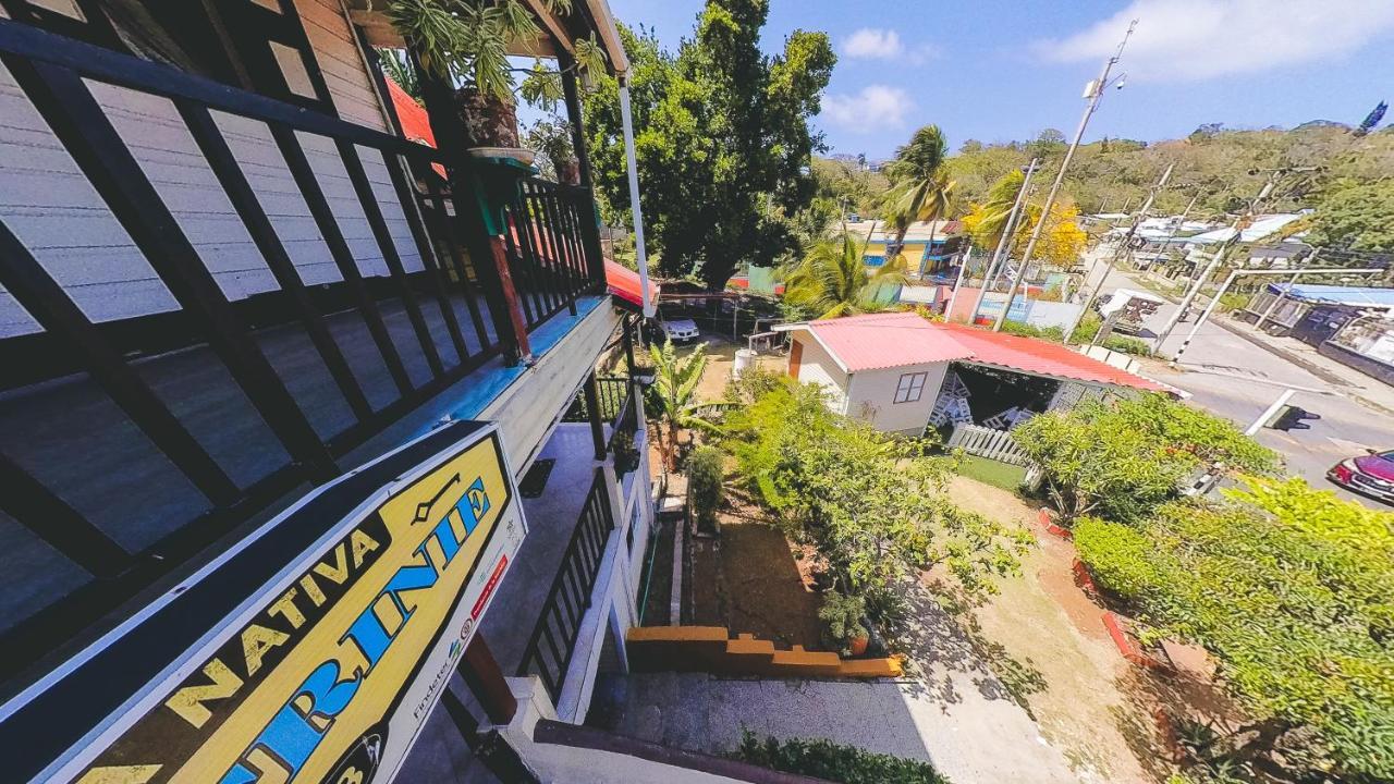Posada Nativa Miss Trinie San Andres  Bagian luar foto